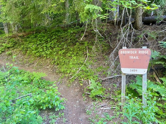 Browder Ridge