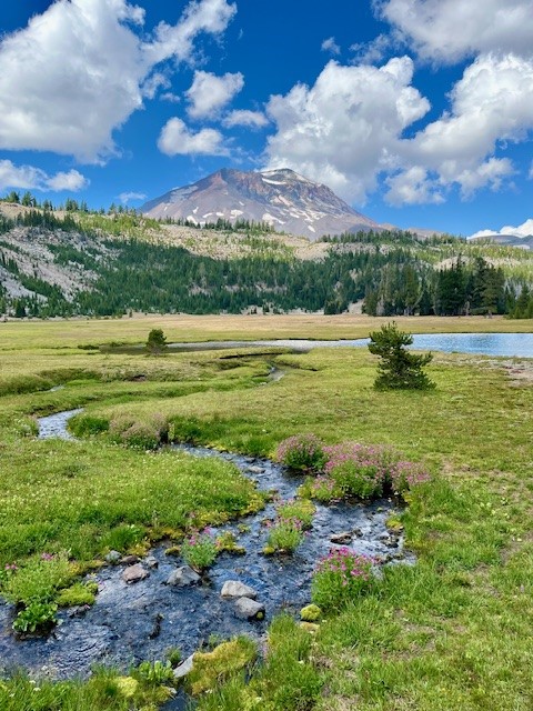 Golden Lake